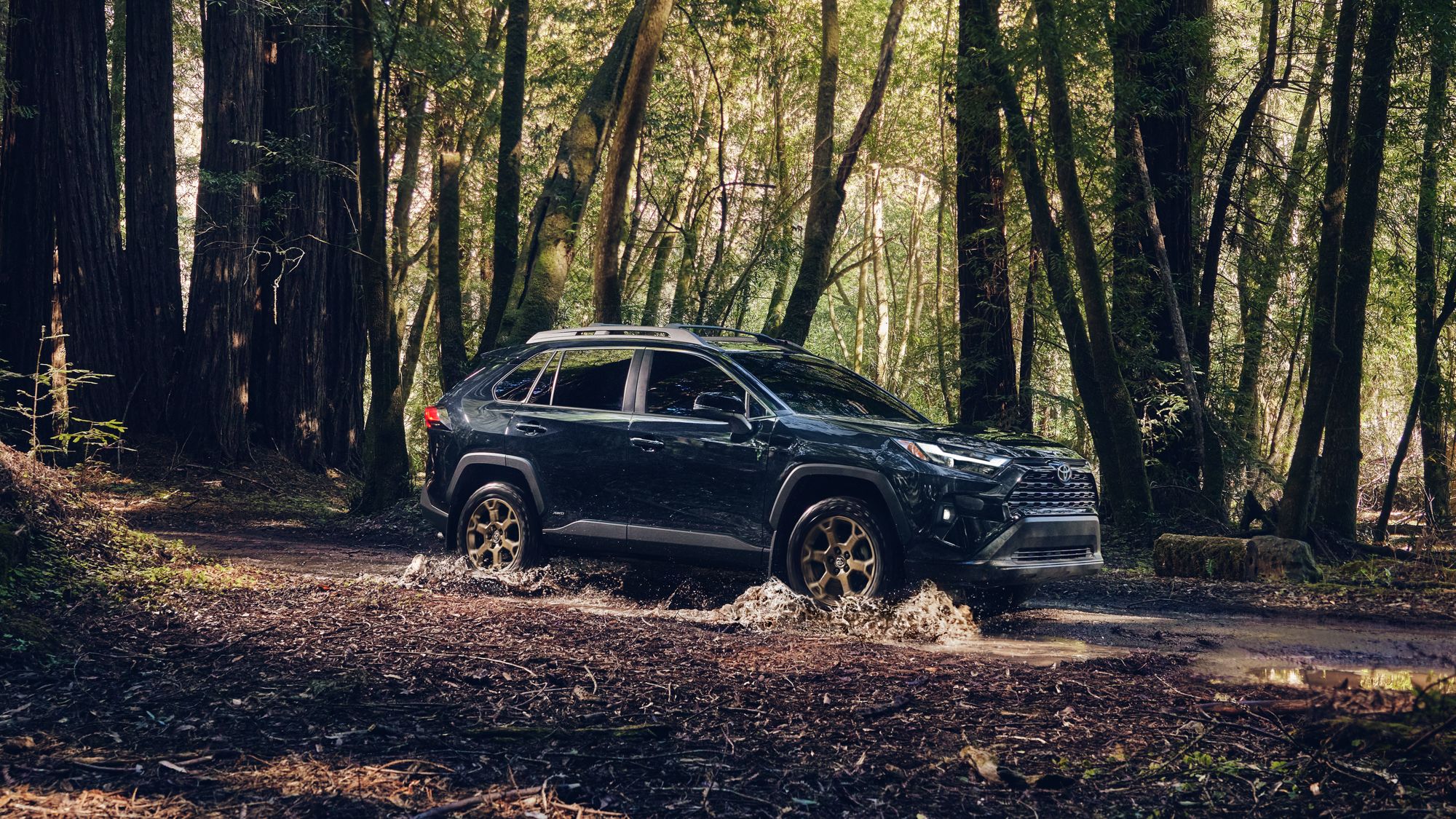 The 2025 RAV4 Trim Levels