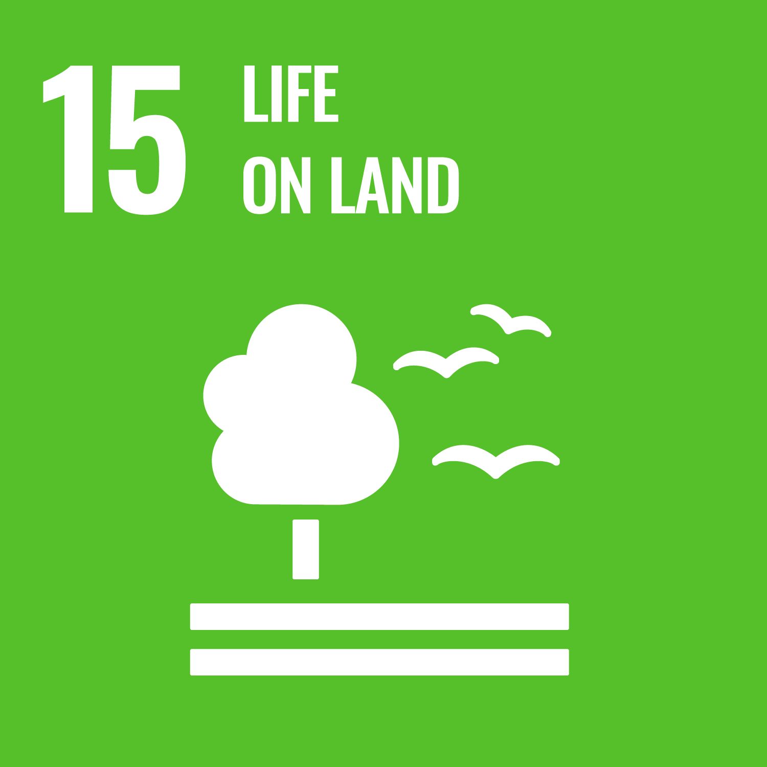 SDG 12