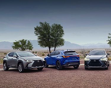 Stories Your 2022 Lexus NX Test Drive Prep My Lexus