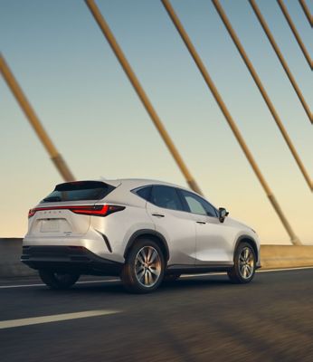 2025 Lexus NX - Luxury SUV | Lexus.com