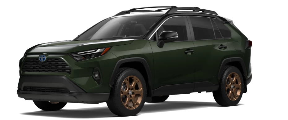Army Green/Midnight Black Metallic roof