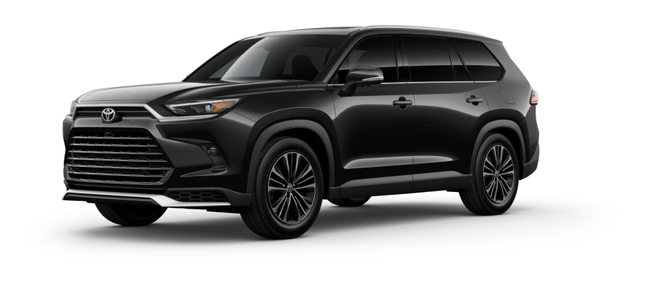 Midnight Black Metallic