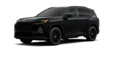 Midnight Black Metallic