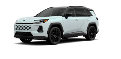 Wind Chill Pearl w/ Black roof