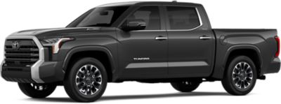 Magnetic Gray Metallic