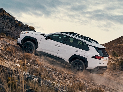 A 2023 Toyota RAV4 in the color Ice Cap kicks up dust as it attempts a hilly climb offroad.