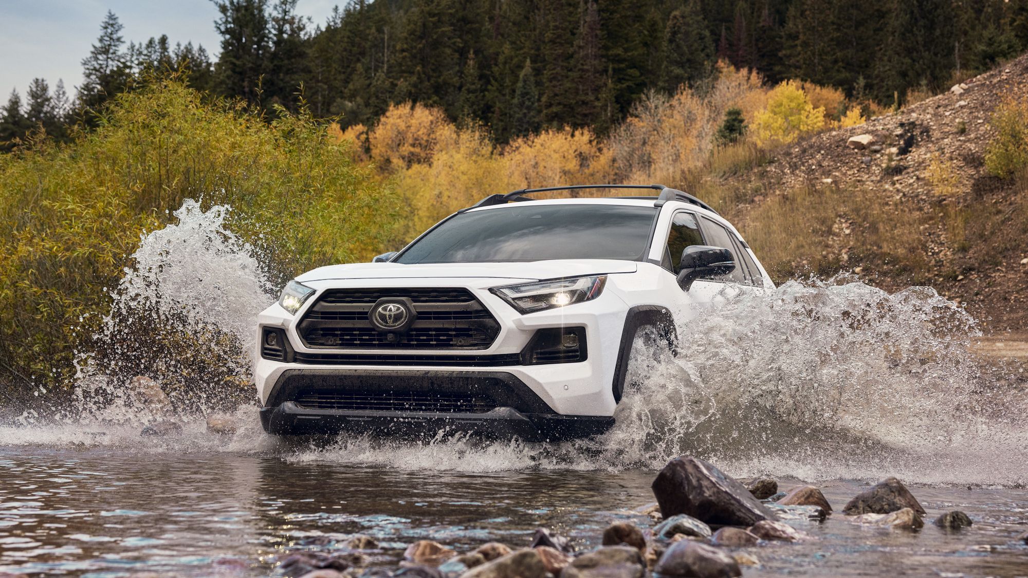 Toyota RAV4 2024 The Best SUV for Families