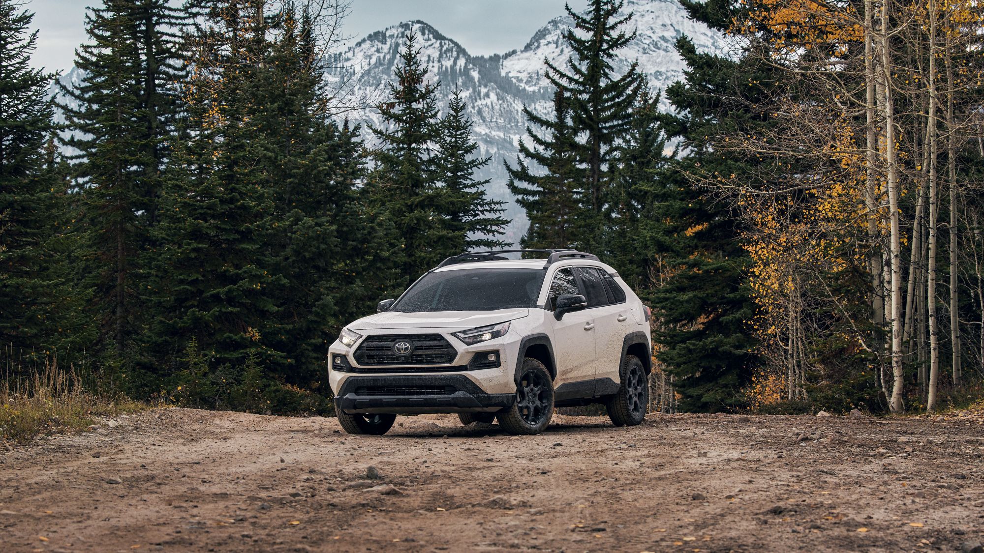 2024 Toyota RAV4 XLE premium white SUV parked in a forest