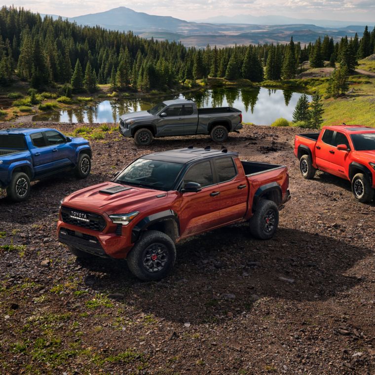 Four different Tacoma's parked next to each other