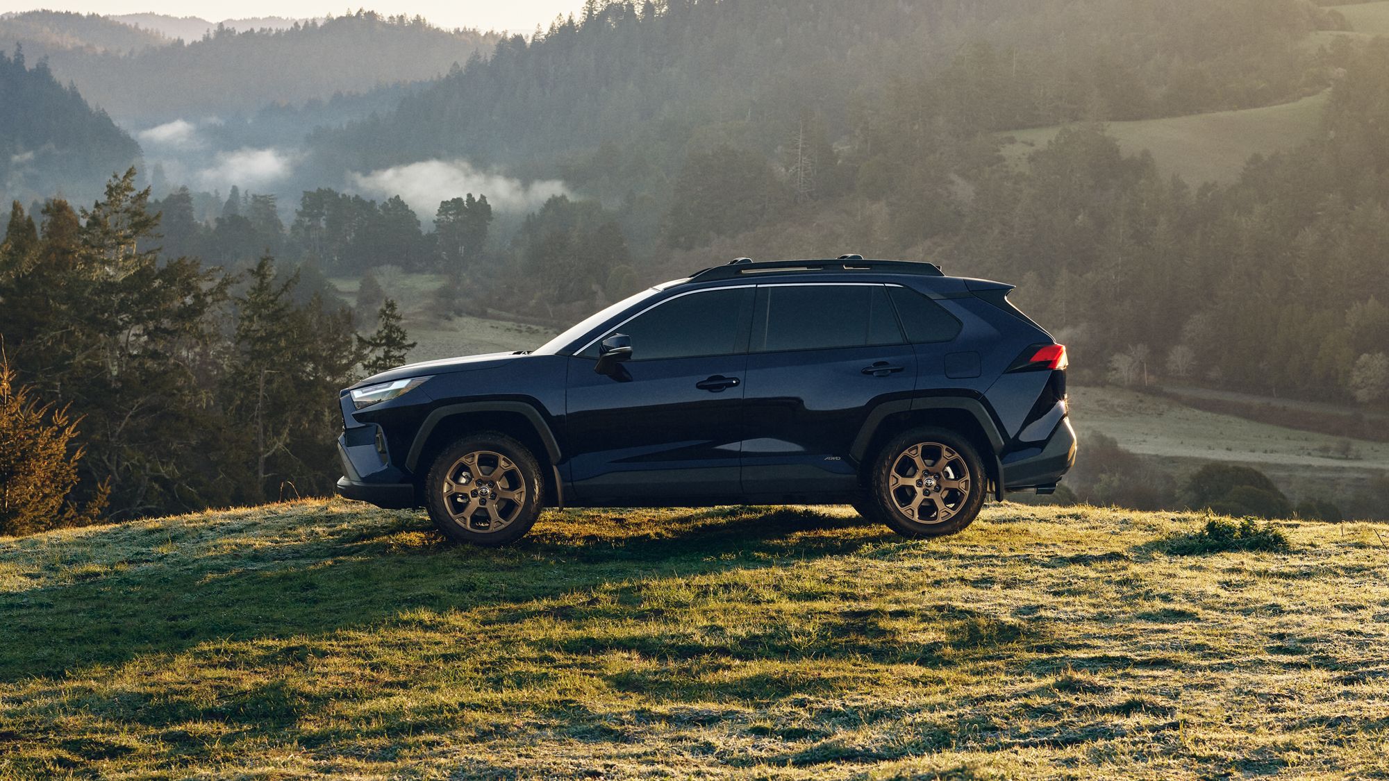 Buying vs Leasing a Toyota RAV4