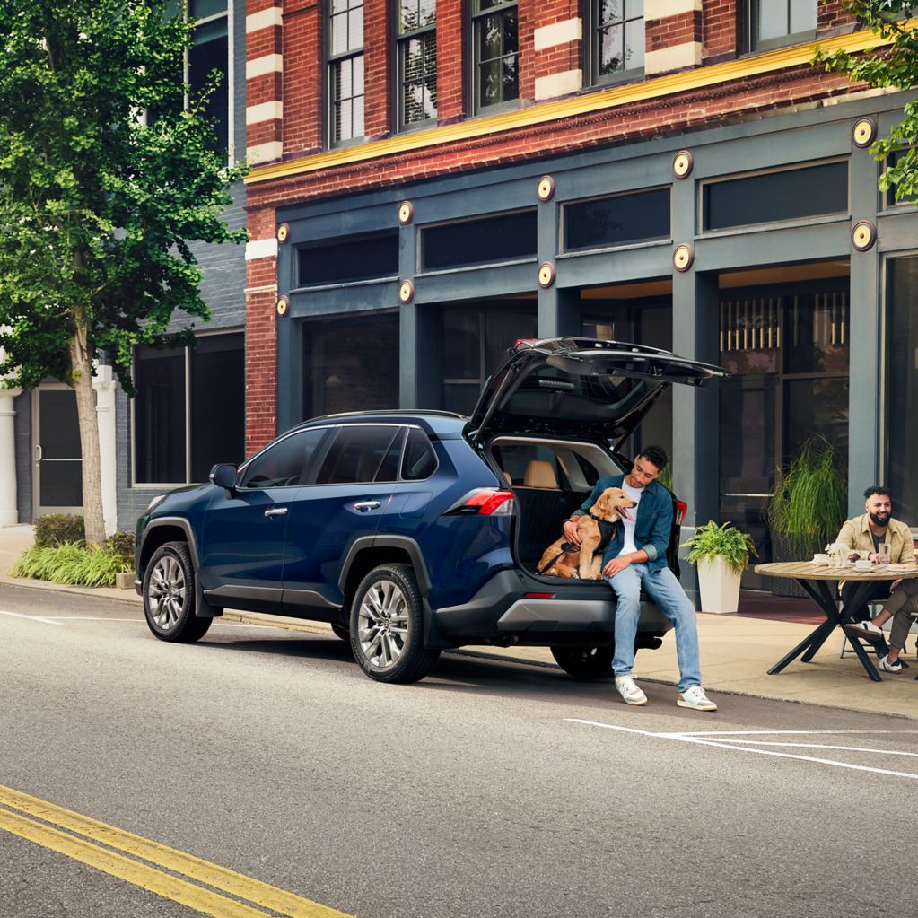 2025 RAV4 trunk open with dog