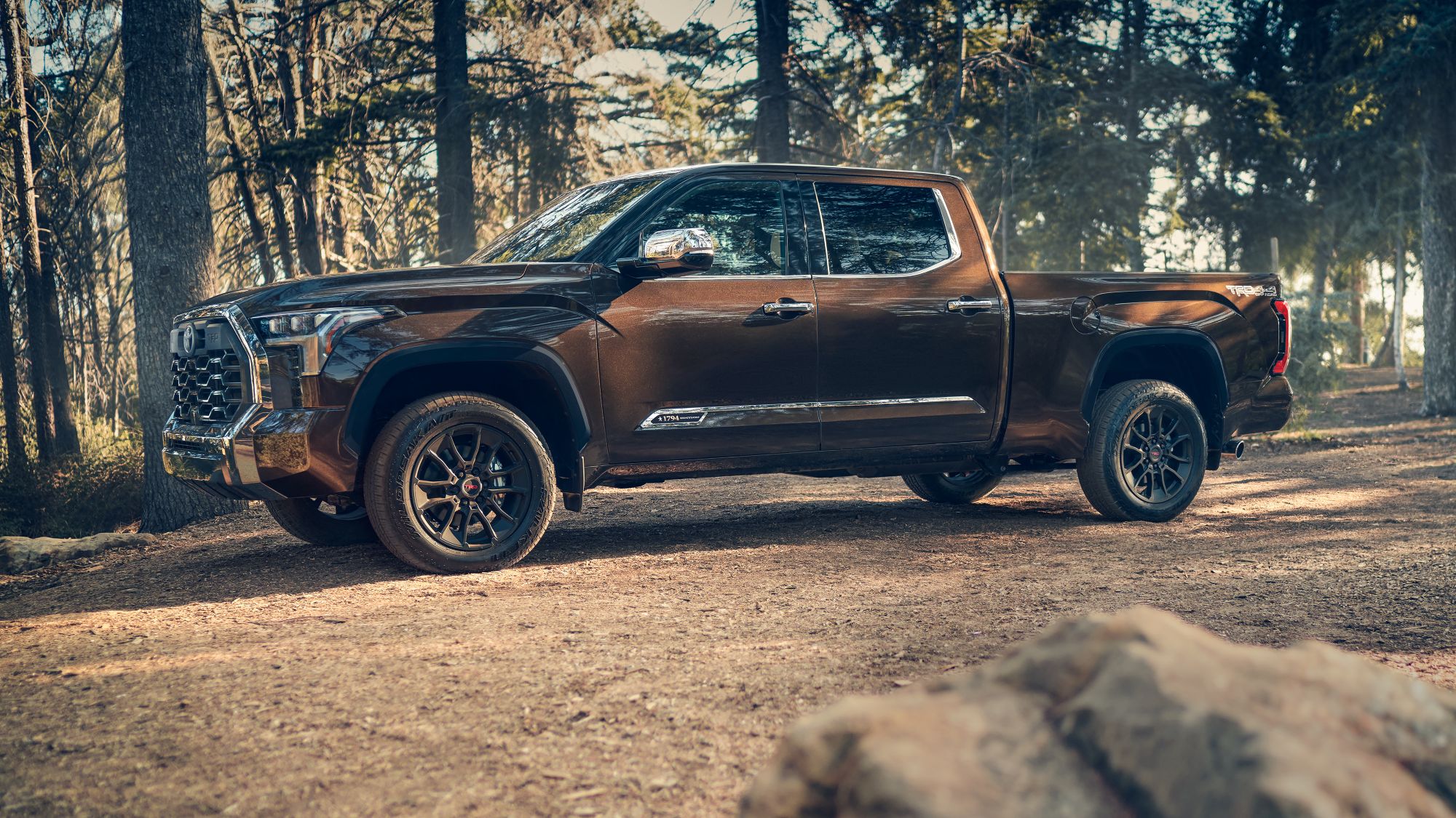 2025 Toyota Tundra 1794 Edition parked in a wooded area