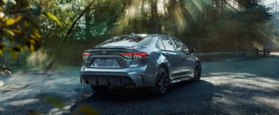 Toyota Corolla parked on a wooded road