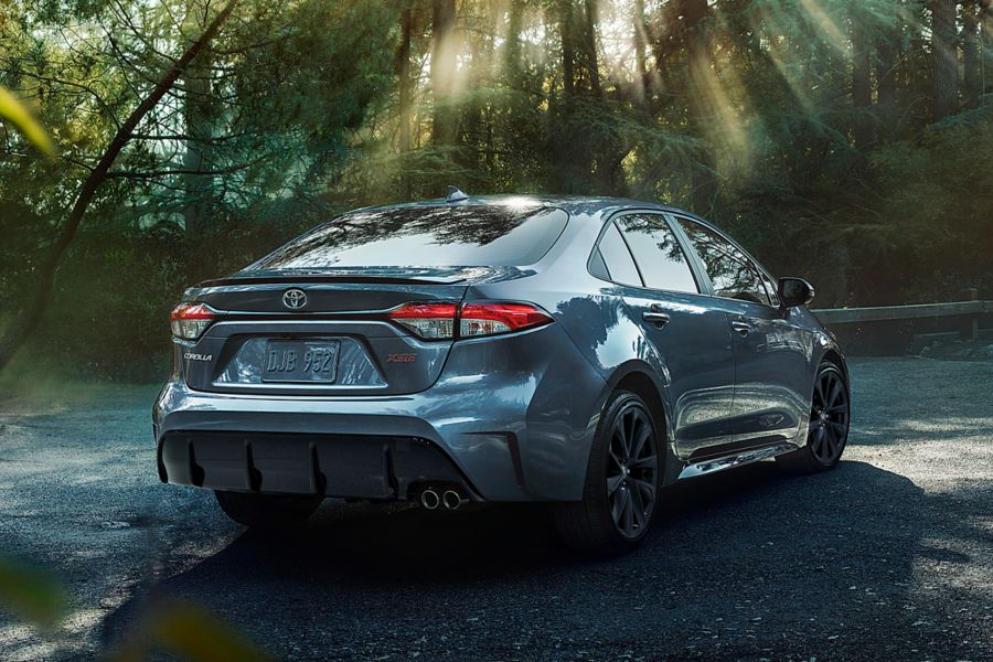 Toyota Corolla parked on a wooded road