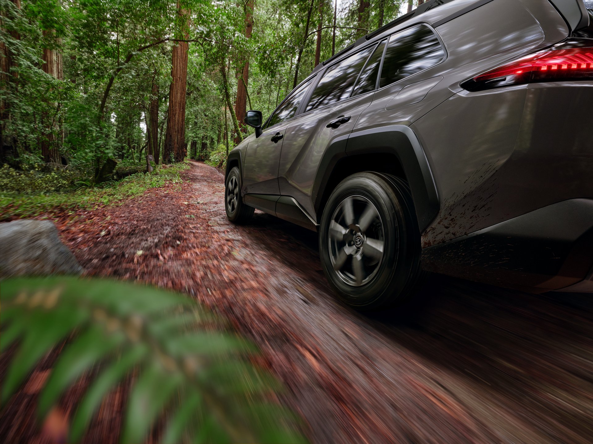 2026 Toyota RAV4 on a dirt forest trail
