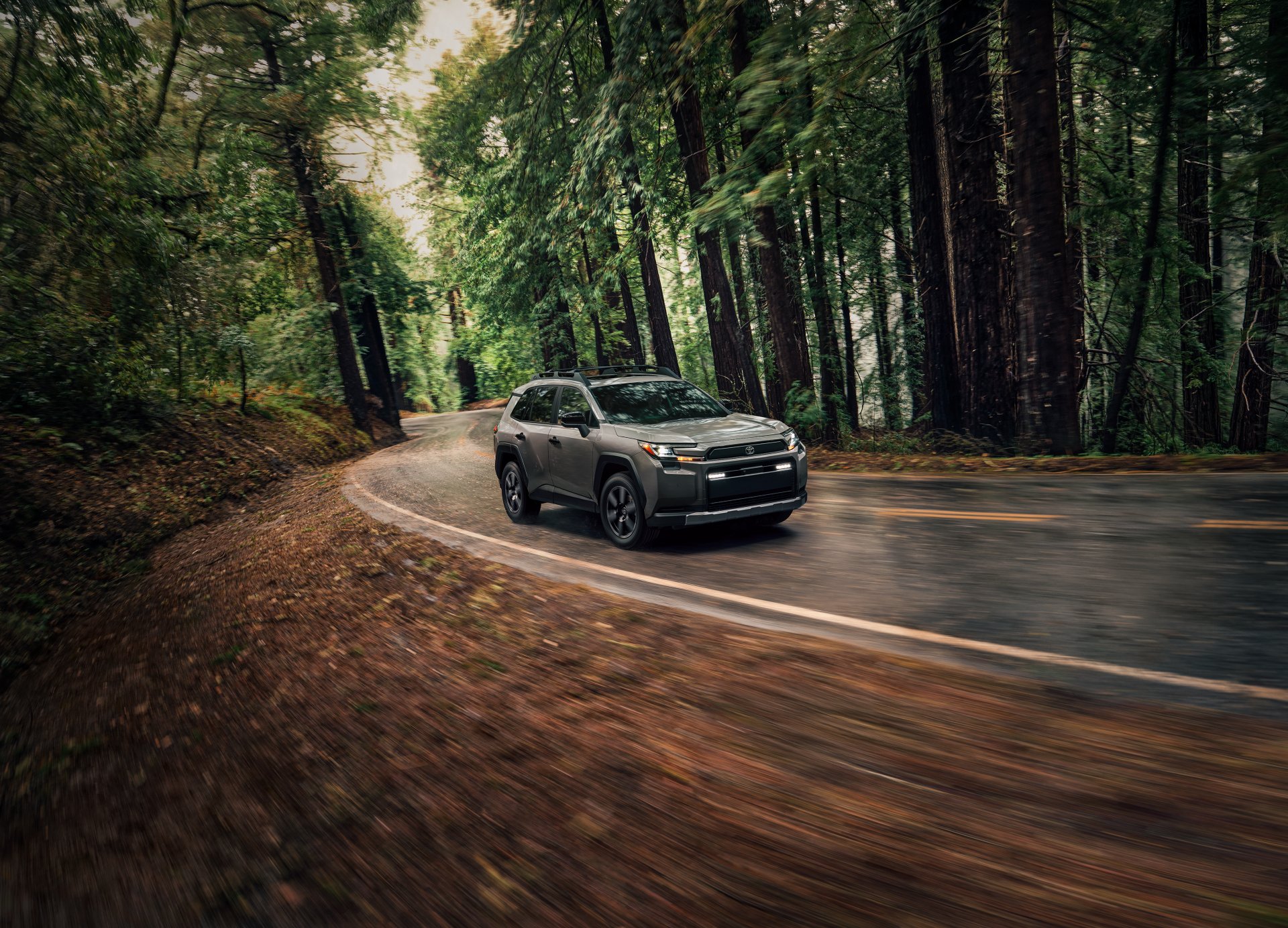 2026 Toyota RAV4 driving on a wet road through a redwood forest