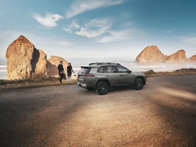 Toyota RAV4 parked on a coastal overlook