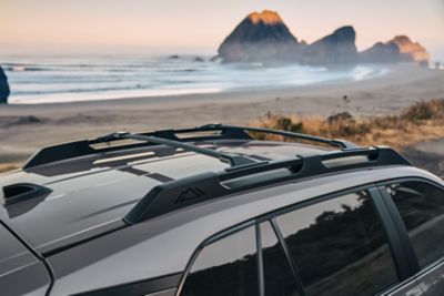 Official Toyota image of the 2026 RAV4 Hybrid Woodland in Urban Rock parked by the coast